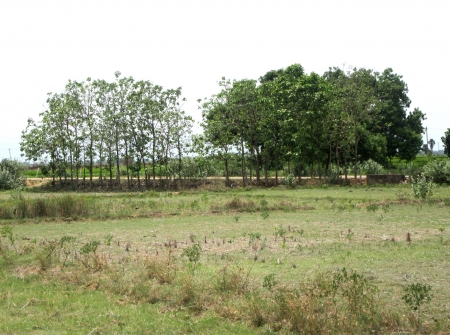 3) Li Id 225 - Pic 4.JPG